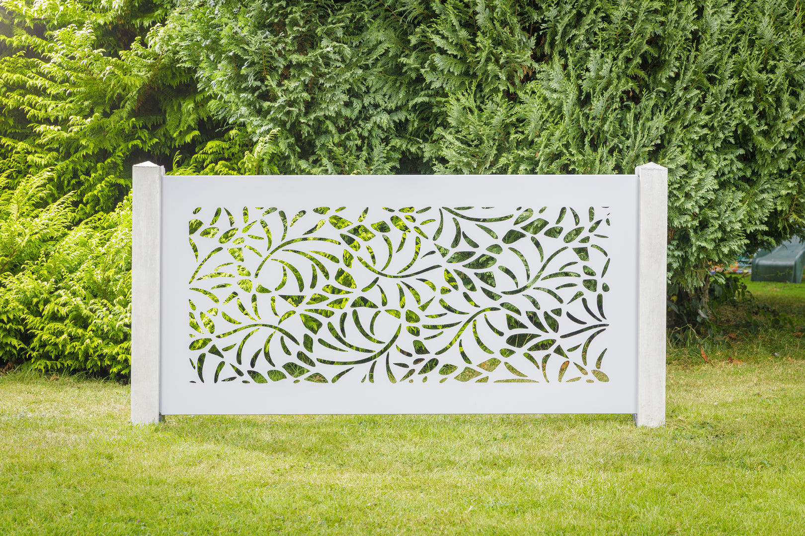 Vines